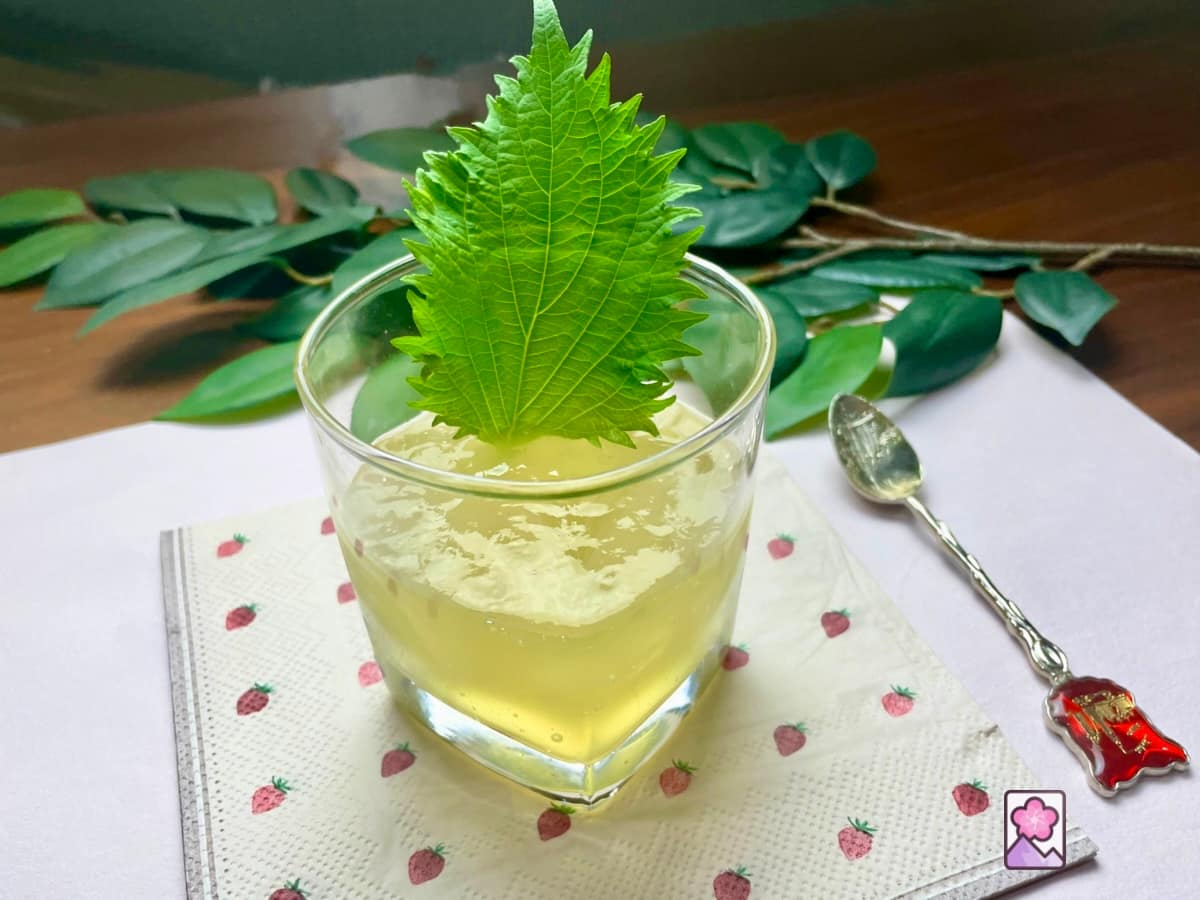 Refreshing Shiso Jelly in a glass with a Shiso leaf on top. The glass is on a napkin with a pattern of strawberries on all on a paper placemat with a spoon next to it.