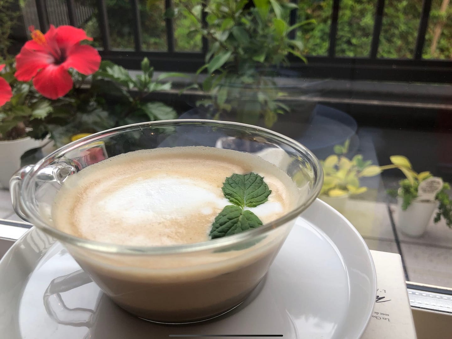 Azuki latte in a glass cup next to the window