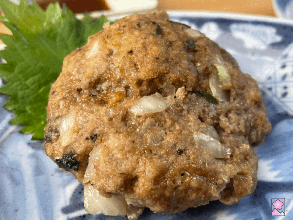 Close up of a baked Okara hamburger
