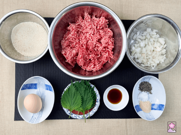 Ingredients for baked Okara hamburgers