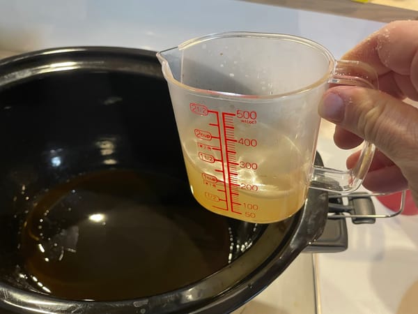 Consommé in the slow cooker