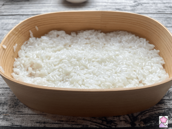 Sushi Rice in the bento box