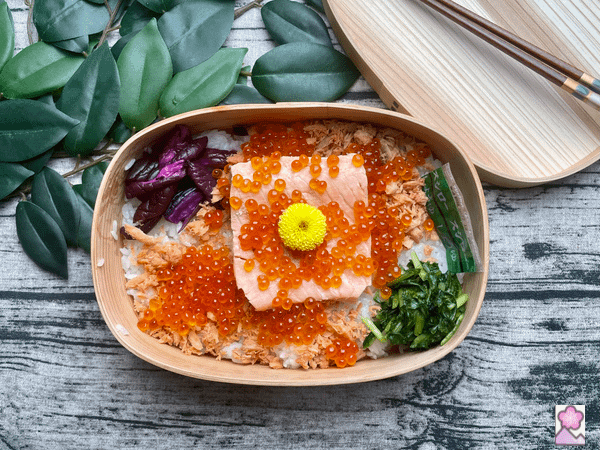 Salmon and Ikura Bento Box
