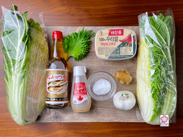 Ingredients for Japanese style kimchi on a wood board