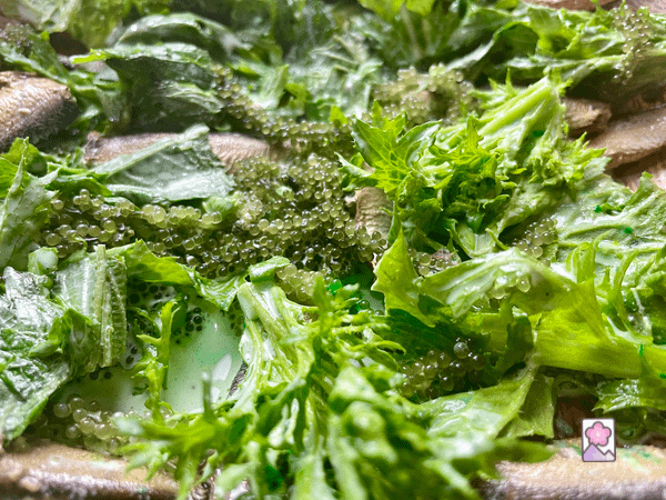 Tossed salad