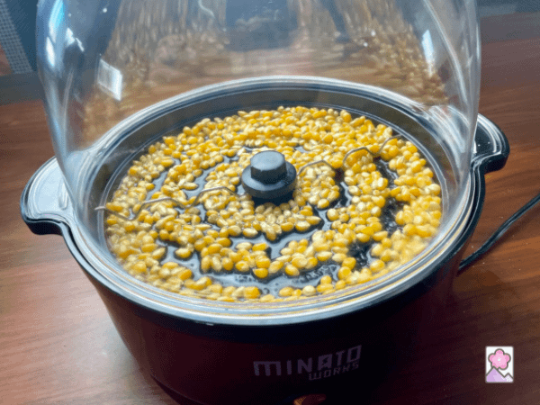 Popcorn kernels in an electric popcorn popper
