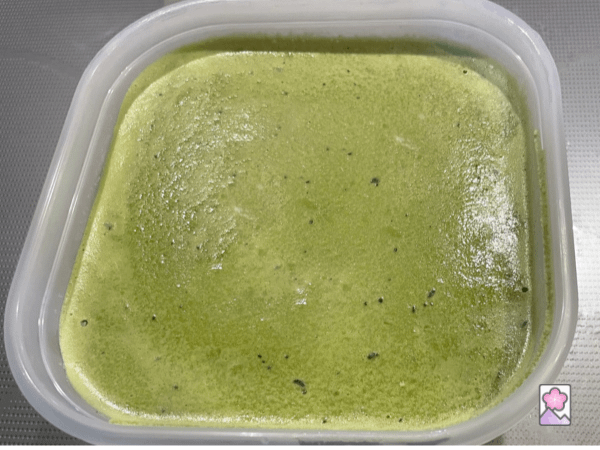 Frozen Matcha Ice Cream in a plastic container