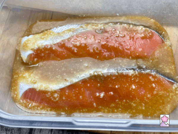 Salmon marinated in Koji in a plastic bowl