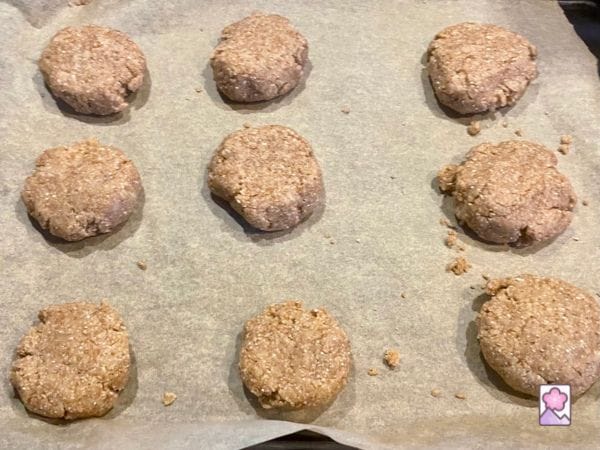 Flattened Graham cracker cookie dough
