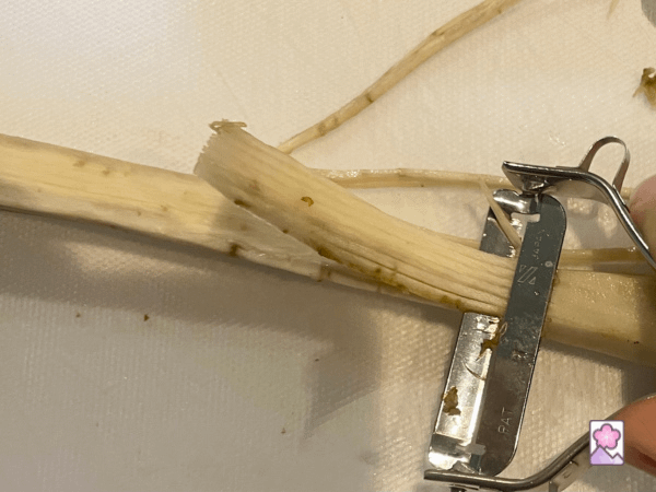 Julienne slicing gobo