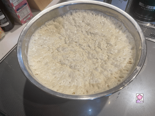 pizza Dough in a bowl after rising