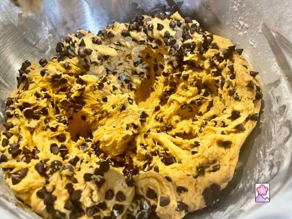 Chocolate Chip Cookie Dough loaded with chips