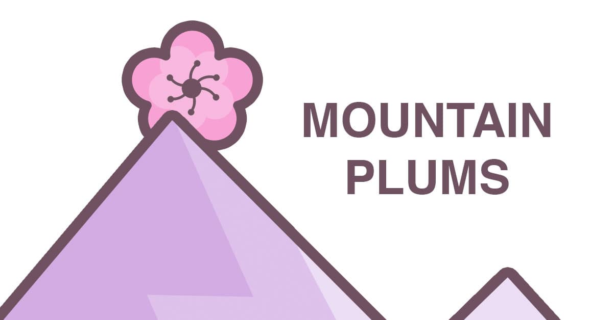 Mountain Plums logo