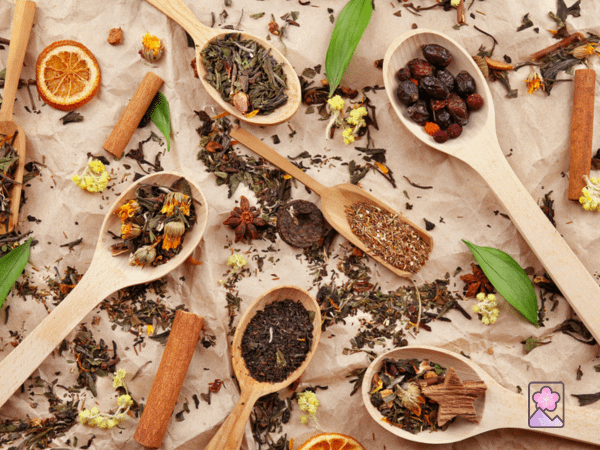 various kinds of herbal, flower, and Japanese green teas in wooden spoons