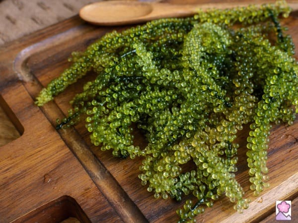 Sea grapes