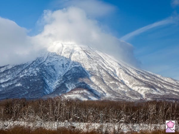 Mount Yotei in Hokkaido with trees in the forefront. The mountain is covered with snow and there is mis at the top.