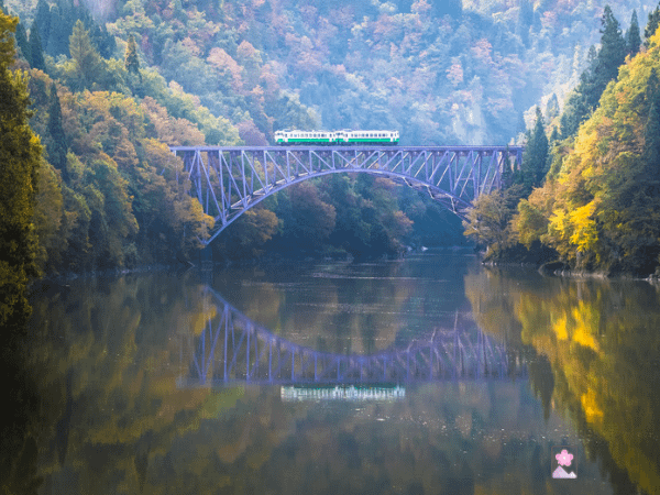 A train crosses a river gorge