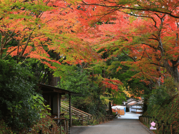 Hiraizumi