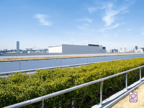 The Toyosu fish market building viewed from a distance is a large rectangular building