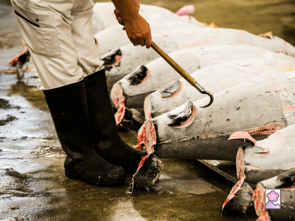A tuna auction