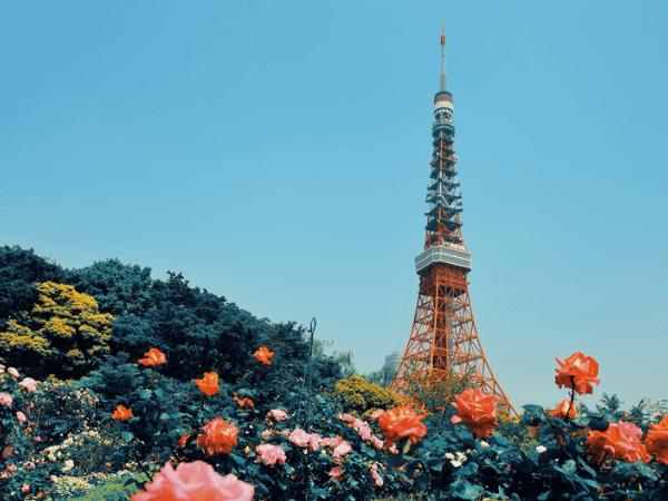 The Tokyo Tower towers over a botanical garden