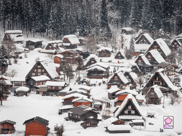 The historic wooden houses of Shirakawago covered in snow