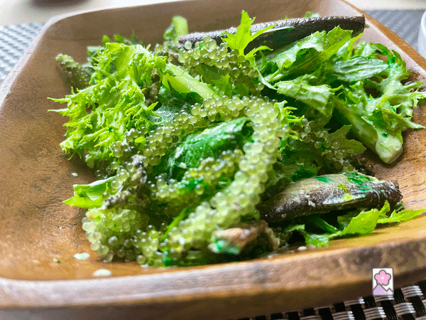 Sea Grape and smoked sardine salad
