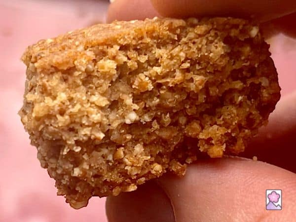 The inside of a graham cracker cookie shows a fibrous grainy texture